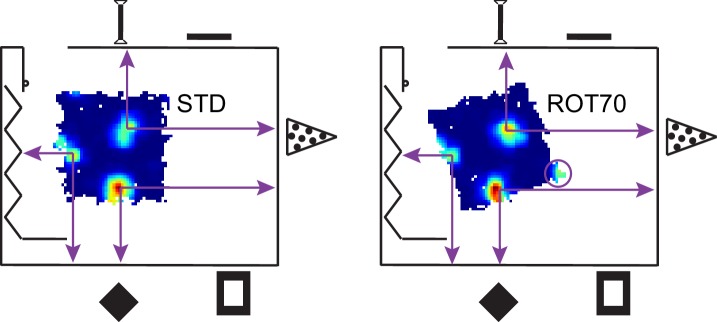 Figure 3—figure supplement 1.