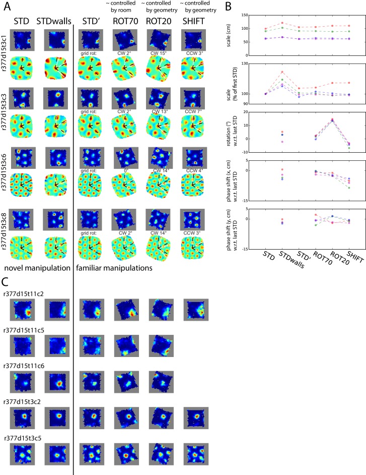 Figure 8—figure supplement 1.