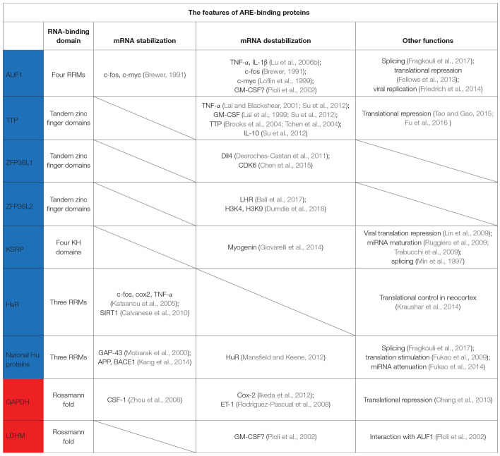 graphic file with name fgene-12-715196-i0001.jpg