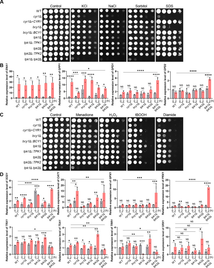 FIG 3