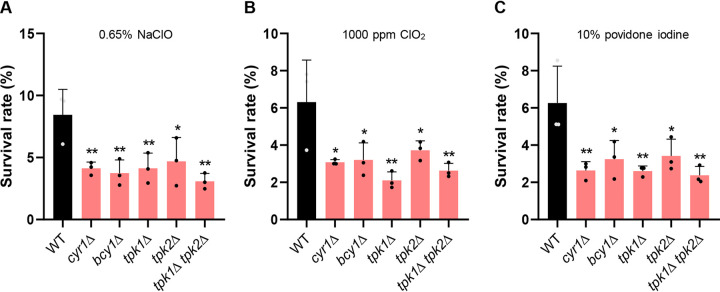 FIG 6