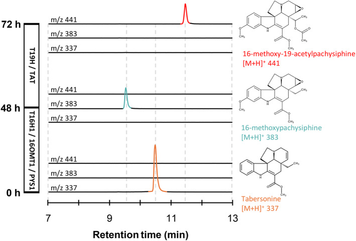 Figure 7