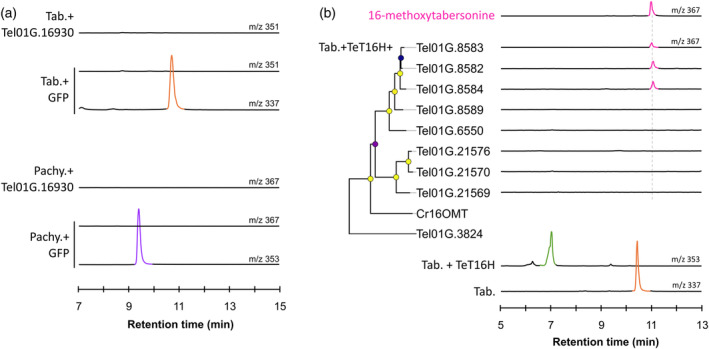 Figure 6