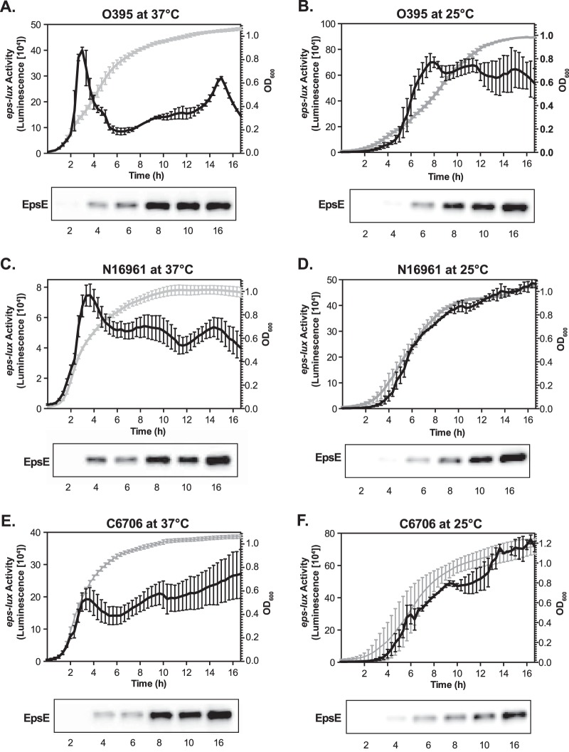 FIG 1