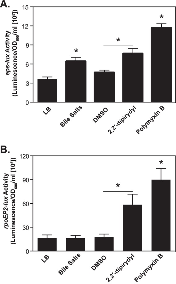 FIG 6