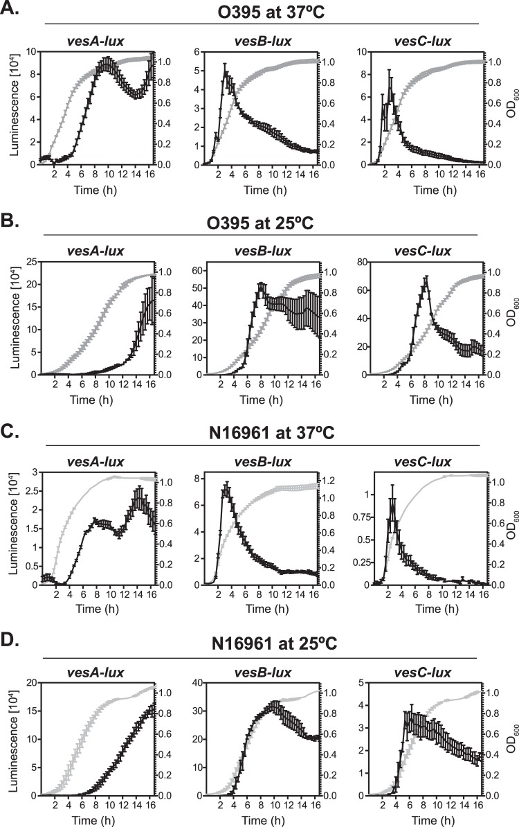 FIG 4