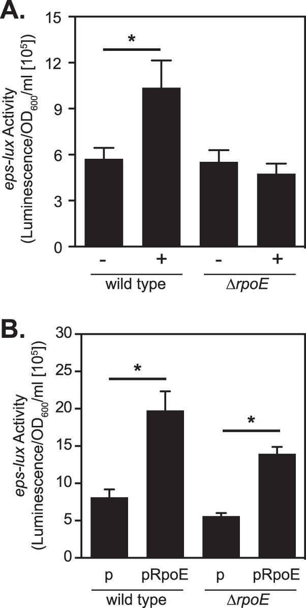 FIG 8