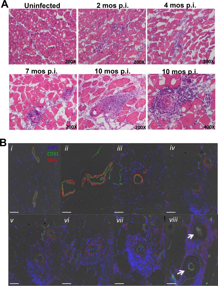 FIG 2