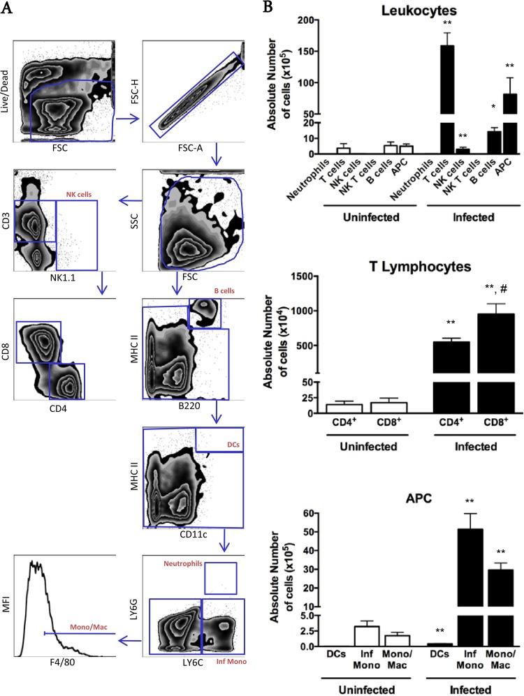 FIG 4