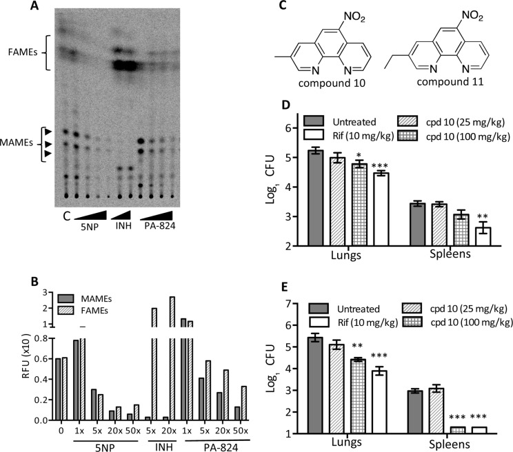 FIG 3