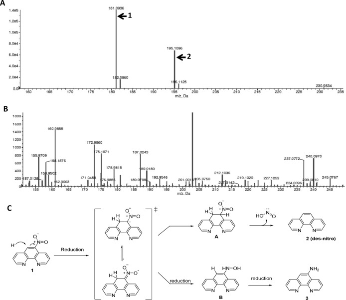 FIG 2