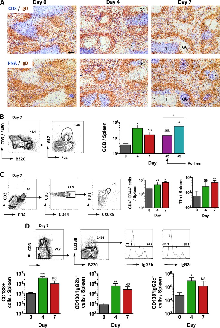 FIG 2 