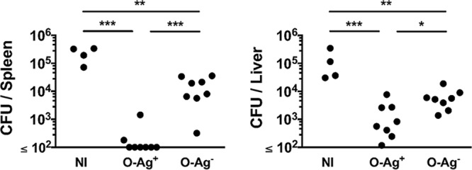 FIG 6 