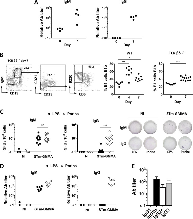 FIG 4 