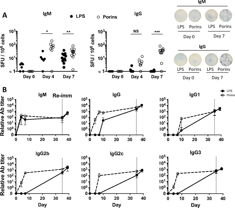 FIG 3 