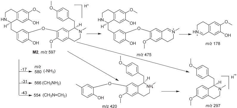 Scheme 2