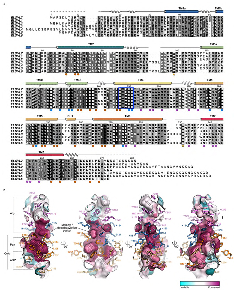 Extended Data Fig. 4