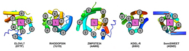 Extended Data Fig. 2