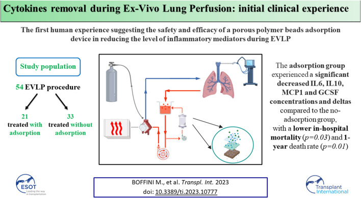 graphic file with name TI_ti-2023-10777_wc_abs.jpg