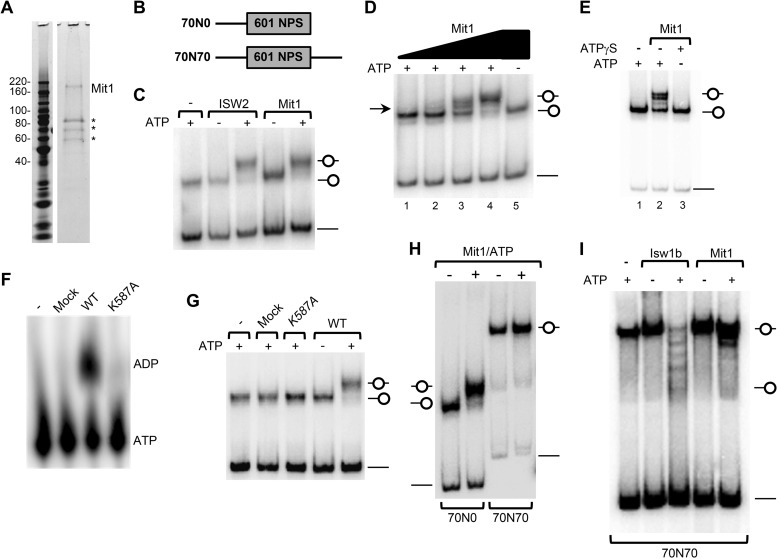 FIG 3