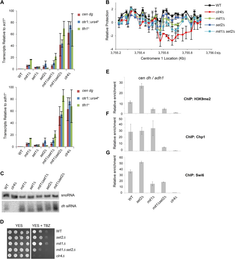 FIG 6