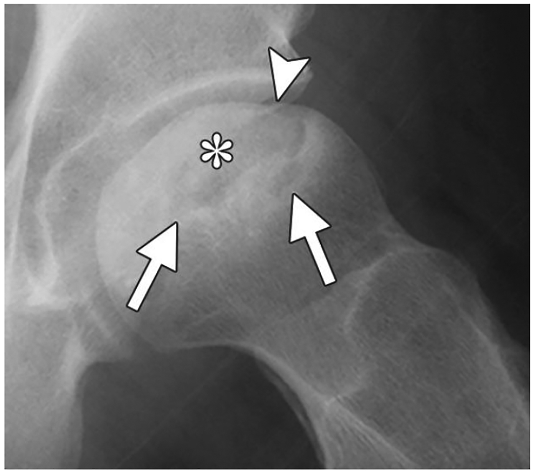 Figure 4: