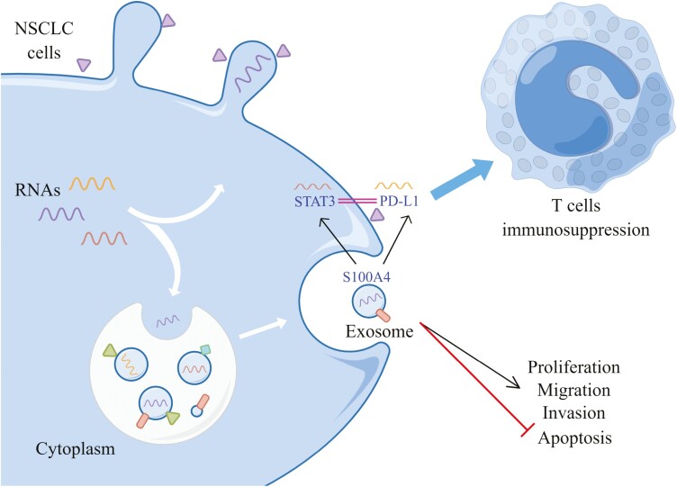 Graphical Abstract