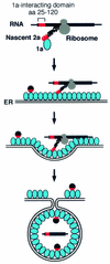 FIG. 7.