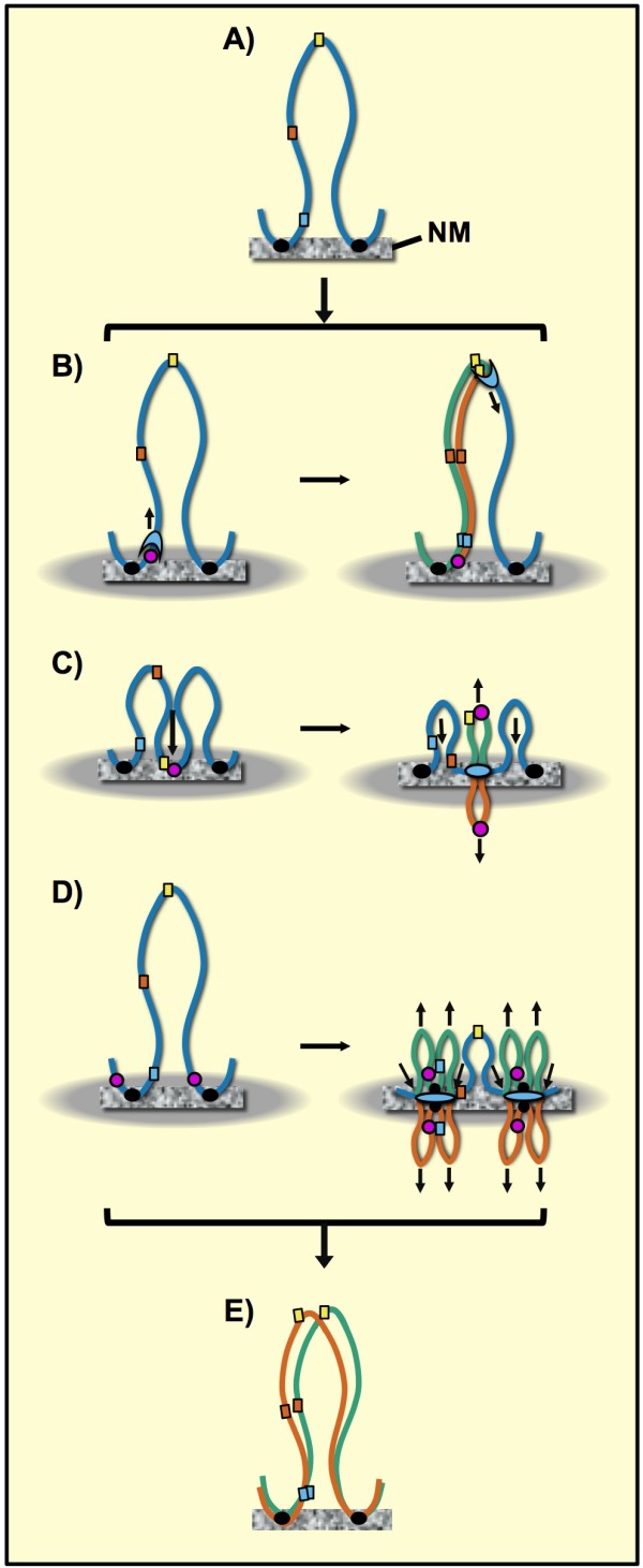 Figure 8