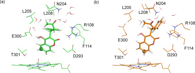 Figure 13