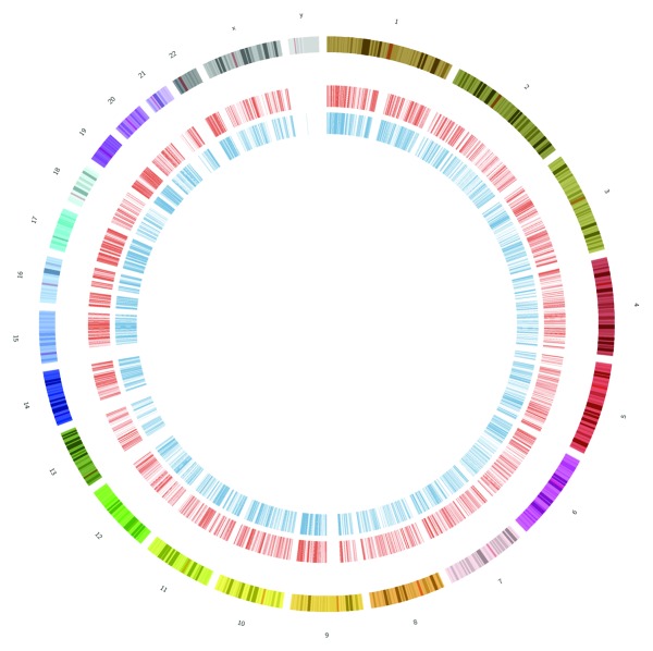 graphic file with name rna-10-342-g1.jpg