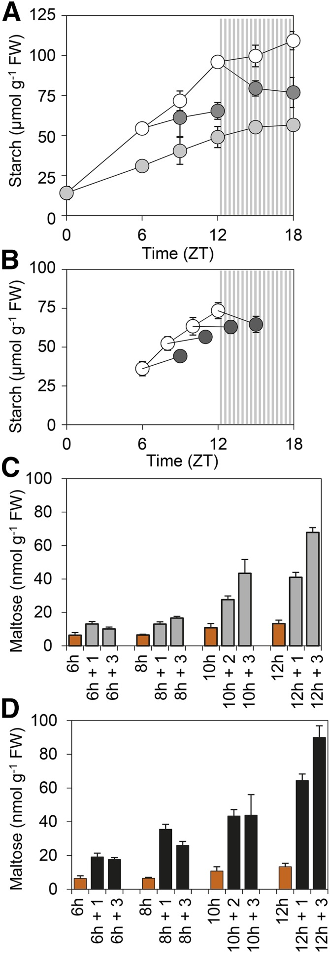 Figure 5.