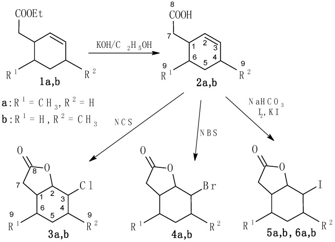 Scheme 1