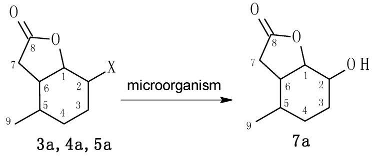 Scheme 2