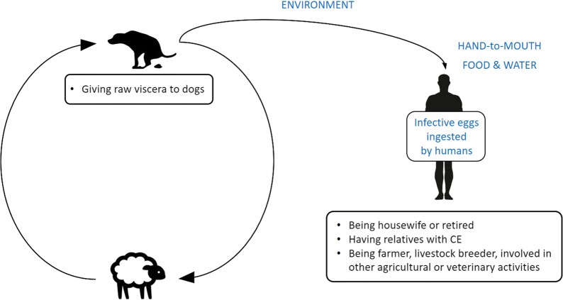 Fig. 1