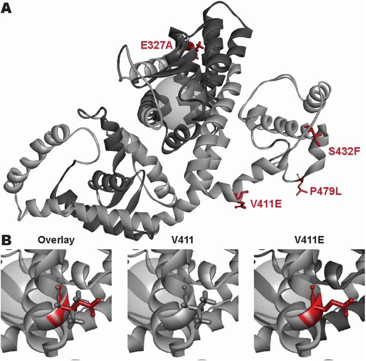 Fig 3