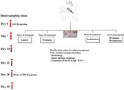 graphic file with name VMS3-10-e1410-g007.jpg