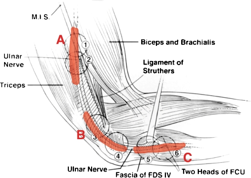 Figure 3