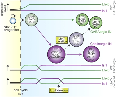 Fig. 6.