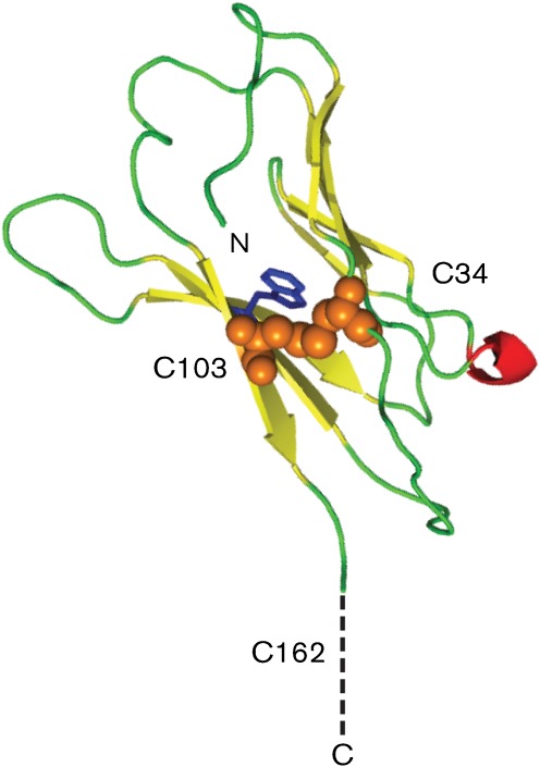 Fig. 3. 