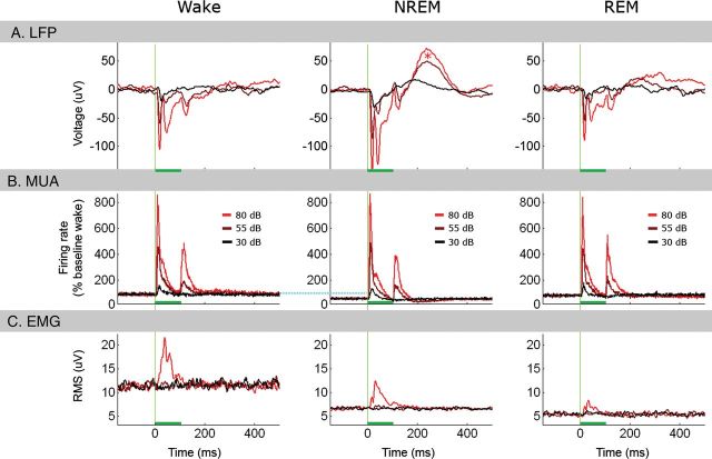 Figure 3.