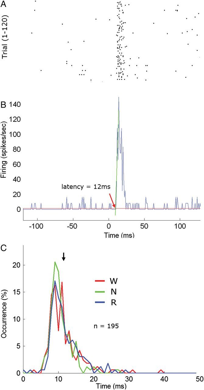 Figure 5.