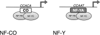 Figure 8.