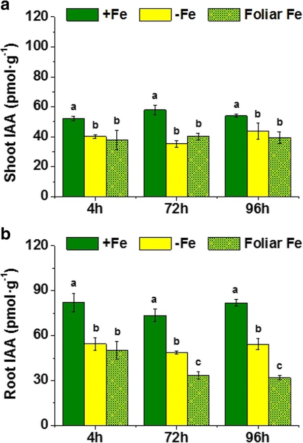 Fig. 8