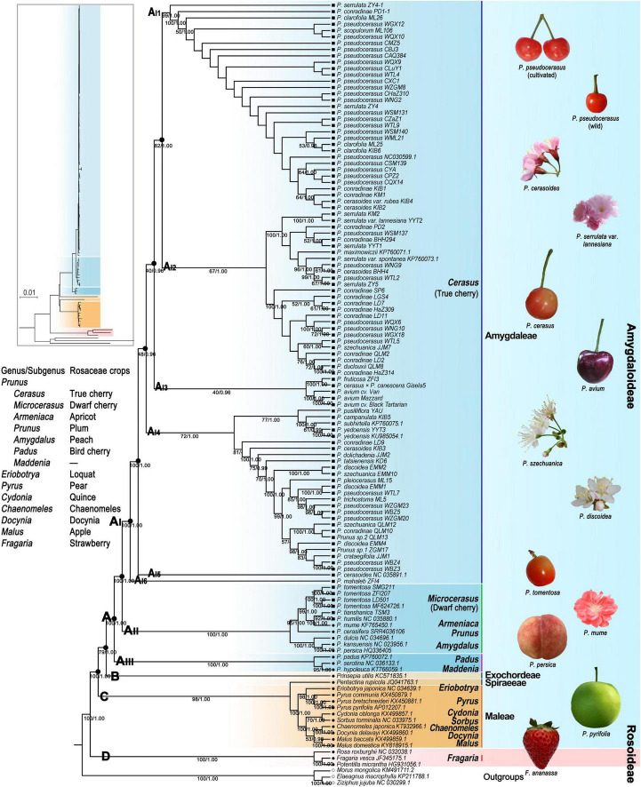 FIGURE 3