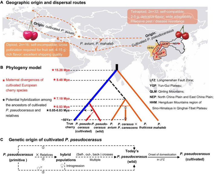 FIGURE 6