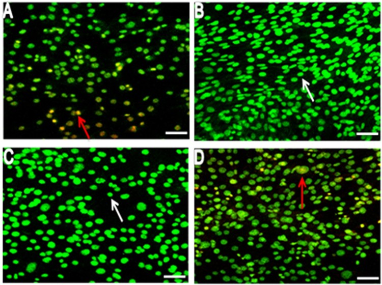 Figure 4.