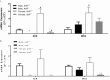 Figures 6A and 6B are bar graphs plotting mRNA expression (y-axis) in AhR and IRS2 (x-axis) in liver and adipose, respectively, of male and female Ahr positive virgule positive and negative virgule negative mice.