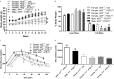 Figure 3A plots body weight (grams; y-axis) across weeks (x-axis) for male and female Ahr positive virgule positive and negative virgule negative mice administered vehicle or PCB 77 dosing while being fed a high fat diet. Figure 3B is a bar graph plotting percentage of body weight (y-axis) across lean mass and fat mass (x-axis) for male and female Ahr positive virgule positive and negative virgule negative mice administered vehicle or PCB 77 dosing. Figure 3C plots blood glucose level (milligrams per deciliter; y-axis) across time (minutes; x-axis) for male and female Ahr positive virgule positive and negative virgule negative mice administered vehicle or PCB 77 dosing. Figure 3D is a bar graph plotting AUC (arbitrary units; y-axis) in male and female Ahr positive virgule positive and negative virgule negative mice administered vehicle or PCB 77 dosing.