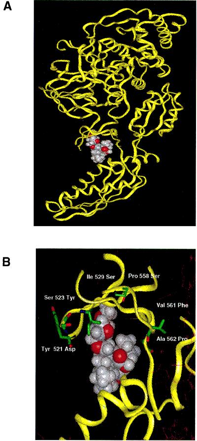 FIG. 4